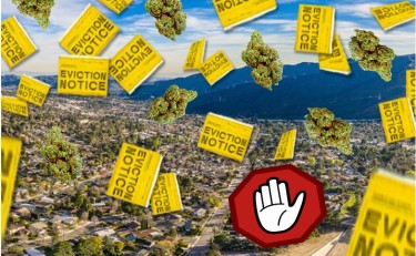 cannabis eviction notices